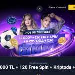 Casino Maxi'den 12000 TL Bonus ve 120 Free Spin Alın